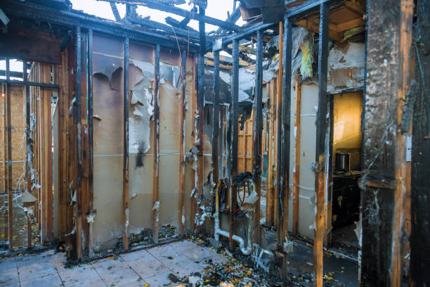 Professional Fire Damage Removal technician working in Riverside, MD
